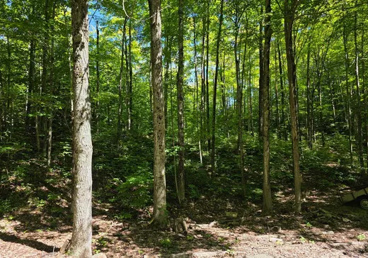 Terrain à vendre - 1S Ch. de l'Agapê, Saint-Augustin-de-Desmaures, J0B 1B0