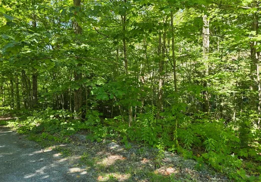 Terrain à vendre - 1N Ch. de l'Agapê, Saint-Augustin-de-Desmaures, J0B 1B0