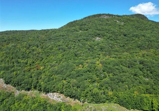 Terrain à vendre - 1N Ch. de l'Agapê, Saint-Augustin-de-Desmaures, J0B 1B0