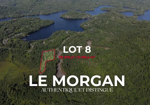 Terrain à vendre - 8 Ch. Morgan, St-Adolphe d'Howard, J0T2B0