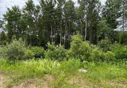Terrain à vendre - 14 Rg St-Jacques, Sainte-Christine-d'Auvergne, G0A 1A0