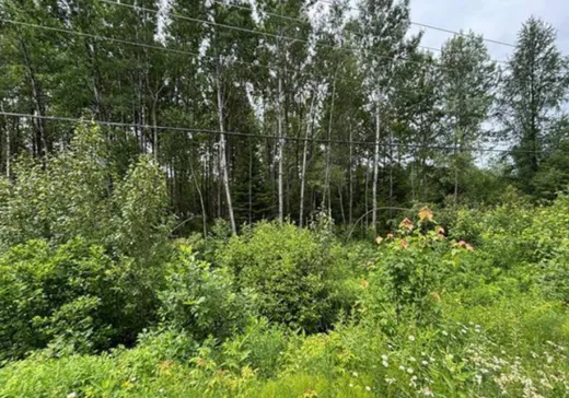 Terrain à vendre - 14 Rg St-Jacques, Sainte-Christine-d'Auvergne, G0A 1A0