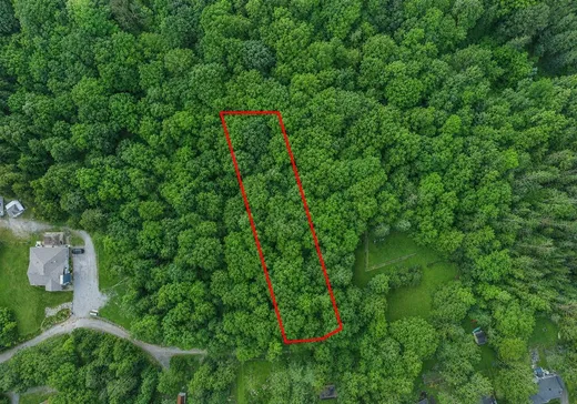Terrain à vendre - 43 Rue Cabana, Eastman, J0E1P0