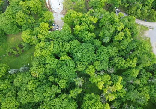 Terrain à vendre - 43 Rue Cabana, Eastman, J0E 1P0