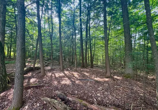 Terrain à vendre - 11 Ch. Peerless, Chelsea, J9B0G4