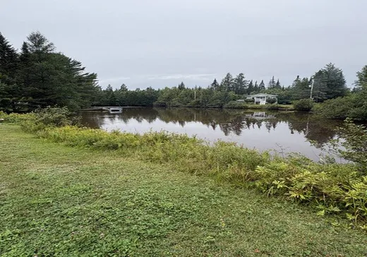 Terrain à vendre - 111 Rue des Peupliers, Saint-Raymond, G3L 2E2