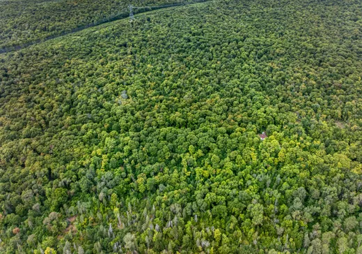 Terrain à vendre - 3 2e rang du Brûlé, Pont-Rouge, G3H 1B4