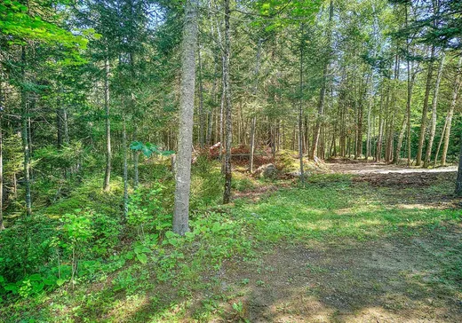 Terrain à vendre - 420 Ch. du Lac-Chaud, Labelle, J0T 1R0