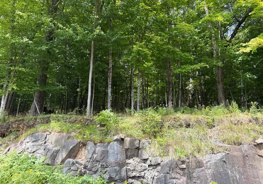 Terrain à vendre - 7 Allée Robert, Mont-Tremblant, J8E 0S2