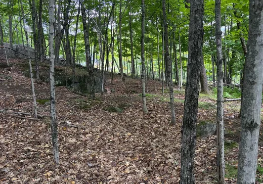 Terrain à vendre - 7 Allée Robert, Mont-Tremblant, J8E 0S2