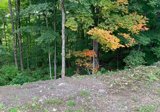 Terrain à vendre -  Ch. des Lys, Wentworth, J8H 0C8