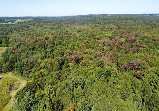 Terrain à vendre - 1761 Rue Dublin, Inverness, G0S 1K0