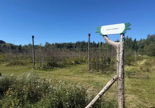 Terrain à vendre - 1761 Rue Dublin, Inverness, G0S 1K0