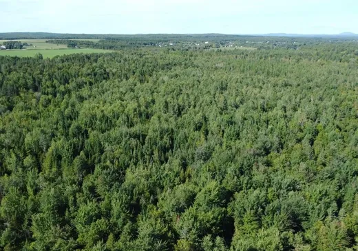 Land for Sale - 110Z Ch. Domon, Weedon, J0B 3J0