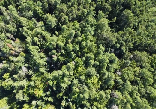 Land for Sale - 110Z Ch. Domon, Weedon, J0B 3J0
