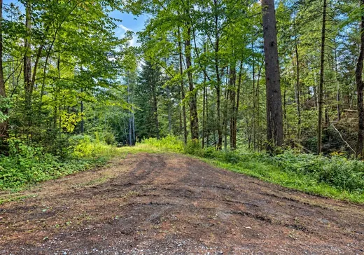 Land for Sale - 9 Ch. Kates, Bolton-Est, J0E 1G0
