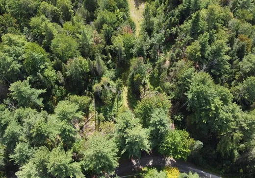 Land for Sale - 9 Ch. Kates, Bolton-Est, J0E 1G0