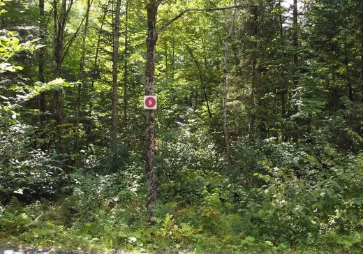 Land for Sale - 5 Ch. Kates, Bolton-Est, J0E 1G0