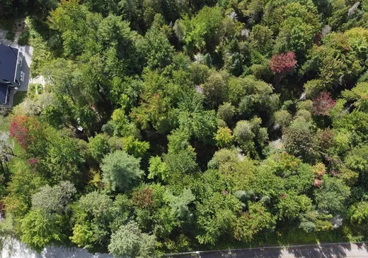 Land for Sale - 5 Ch. Kates, Bolton-Est, J0E 1G0