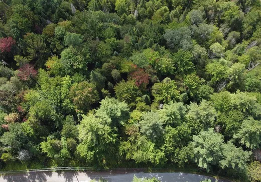 Land for Sale - 7 Ch. Kates, Bolton-Est, J0E 1G0