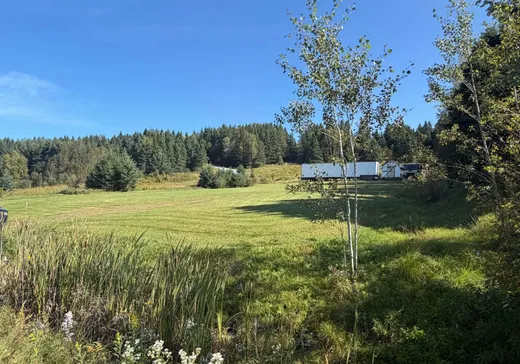 Terrain à vendre - 497 Route 204 S., St-Gedeon-De-Beauce, G0M 1T0