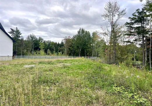 Terrain à vendre - 26 Rue des Cèdres, Kingsey Falls, J0A 1B0