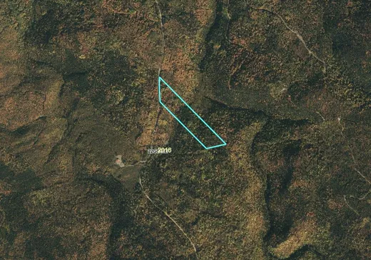 Terrain à vendre - 1 Route de St-Octave, Cap-Chat, G0J1E0