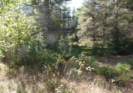 Terrain à vendre -  Ch. des Hydrangées, ND-Du-Laus, J0X 2M0