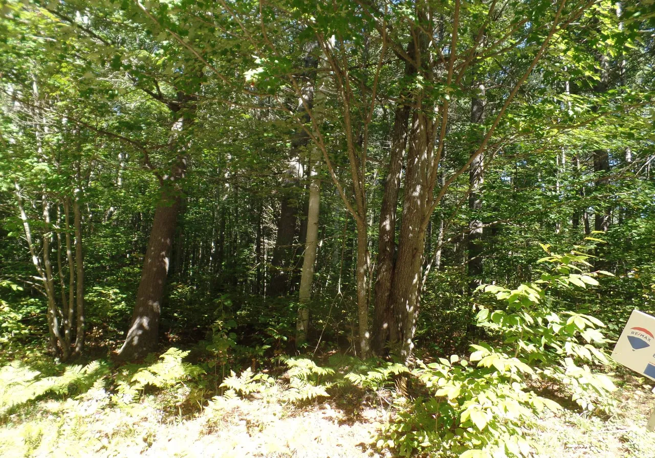 Ch. des Hydrangées — photo 1