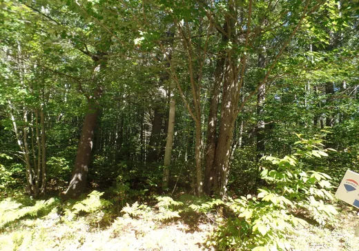 Land for Sale -  Ch. des Hydrangées, ND-Du-Laus, J0X 2M0