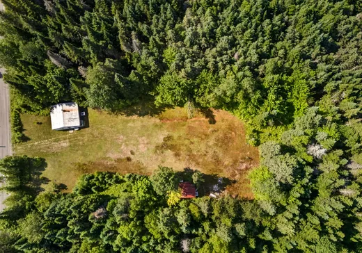Terrain à vendre - 50 Ch. Cauchon, St-Tite-Des-Caps, G0A 4J0