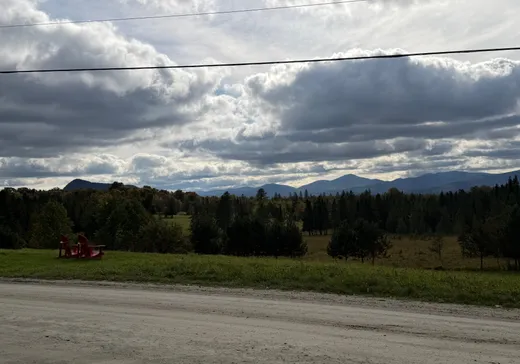 Land for Sale -  Ch. du Grand-Duc, Mansonville, J0E 1X0