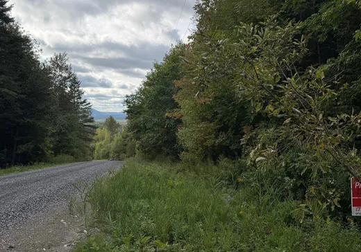 Land for Sale -  Ch. du Grand-Duc, Mansonville, J0E 1X0