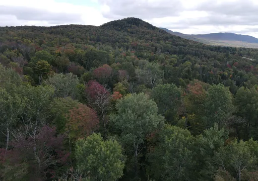 Land for Sale -  Ch. du Grand-Duc, Mansonville, J0E 1X0