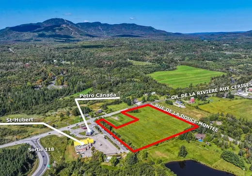 Terrain à vendre - 1651 Ch. de la Rivière-aux-Cerises, Magog, J1X3W3