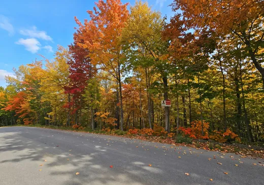 Terrain à vendre -  Rue Paulsen, Sainte-Agathe-des-Monts, J8C0X1