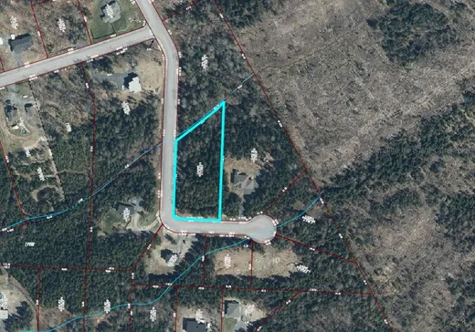 Terrain à vendre - 1131 Rue du Flanc, Saint-René, G0M1Z0