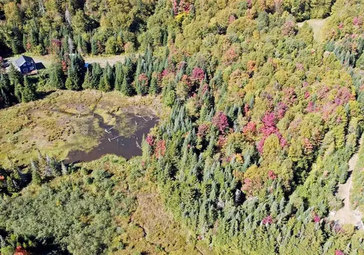 Terrain à vendre - 350 Ch. Eaton, East Hereford, J0B 1S0