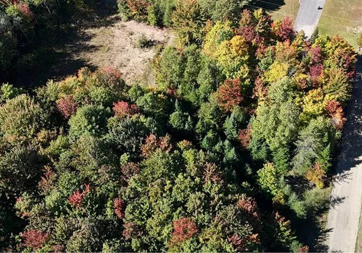 Terrain à vendre - 110Z Rue Yergeau, Saint-Félix-de-Kingsey, J0B 2T0