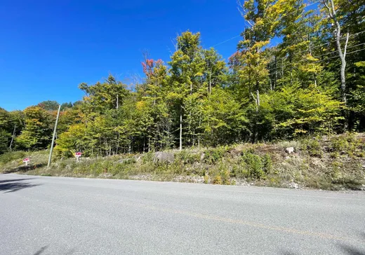 Land for Sale -  Mtée des Samares, Sainte-Agathe-des-Monts, J8C 0R7