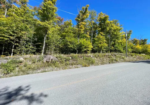 Land for Sale -  Mtée des Samares, Sainte-Agathe-des-Monts, J8C 0R7