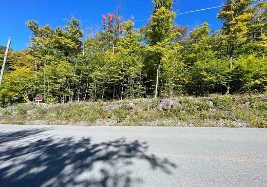 Land for Sale -  Mtée des Samares, Sainte-Agathe-des-Monts, J8C 0R7