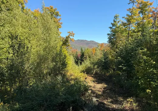 Land for sale -  Rue de la Samare, Eastman, J0E1P0