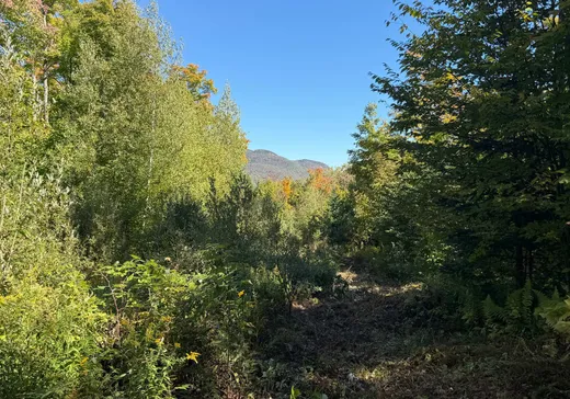 Land for Sale -  Rue de la Samare, Eastman, J0E 1P0