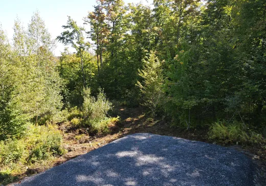 Land for Sale -  Rue de la Samare, Eastman, J0E 1P0