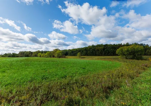 Terrain à vendre - 84 Ch. Maxwell, Wakefield, J0X 3G0