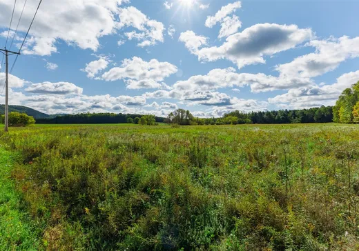 Terrain à vendre - 84 Ch. Maxwell, Wakefield, J0X 3G0