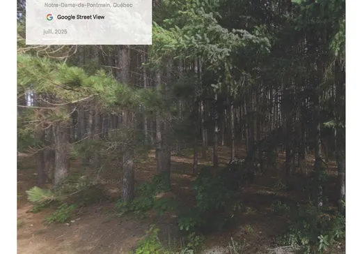 Land for Sale - 28 Rue Désormeaux, Lac-du-Cerf, J0W 1S1
