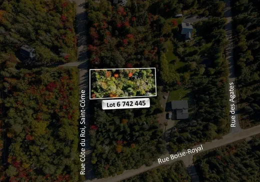 Land for sale -  Côte du Roi, St-Come, J0K2B0