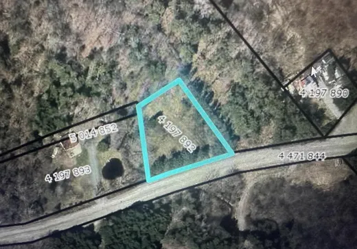 Land for Sale - 224 Ch. Poulin, Dudswell, J0B 1G0